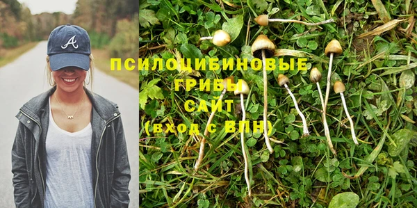 альфа пвп Бородино