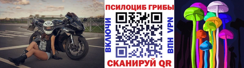 Псилоцибиновые грибы мухоморы  наркота  Горняк 